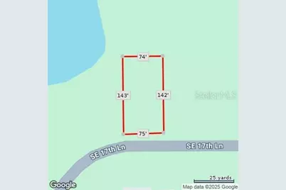 Se 17th Lane, Ocklawaha, FL 32179 - Photo 4