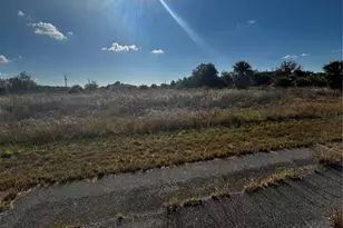 216 Leinster Pl, Labelle, FL 33935 - Photo 1