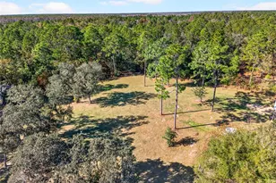 7420 SE 117th Terrace, Morriston, FL 32668 - Photo 64
