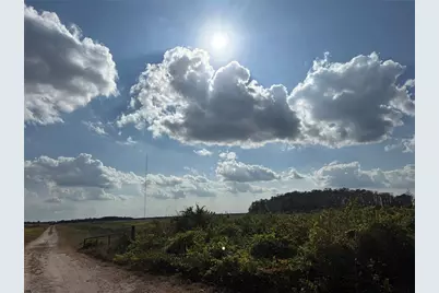 Holopaw Groves Road, Saint Cloud, FL 34771 - Photo 2