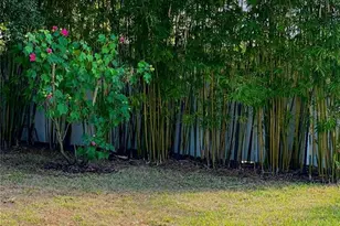 2894 Sand Oak Loop, Apopka, FL 32712 - Photo 56