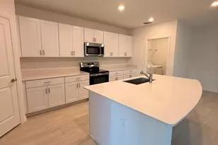 17602 Pleasantview Blvd, Land O Lakes, FL 34638 - Photo 8