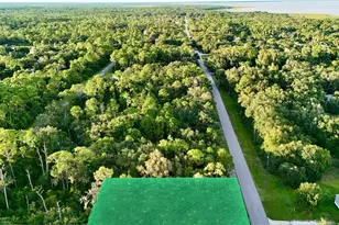 438 Highlands Lake Dr, Lake Placid, FL 33852 - Photo 6