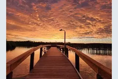 135 Cedar Street, Edgewater, FL 32141 - Photo 14