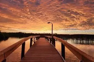 135 Cedar St, Edgewater, FL 32141 - Photo 14