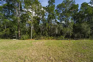 2770 Raindrop Run St, Clermont, FL 34714 - Photo 20