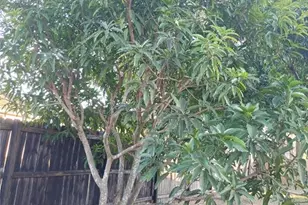 5398 Oxford Manor Cir, Lakeland, FL 33810 - Photo 76