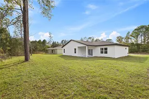 8017 N Maltese Dr, Citrus Springs, FL 34433 - Photo 48