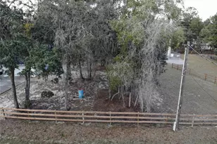 3123 E Marcia St, Inverness, FL 34453 - Photo 26