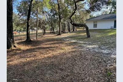 3123 E Marcia Street, Inverness, FL 34453 - Photo 28