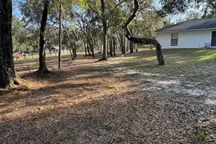 3123 E Marcia St, Inverness, FL 34453 - Photo 28