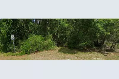 2895 E Marcia Street, Inverness, FL 34453 - Photo 2