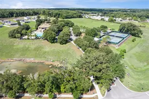 5270 Rishley Run Way, Mount Dora, FL 32757 - Photo 48