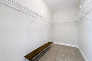 2894 Sand Oak Loop, Apopka, FL 32712 - Photo 48