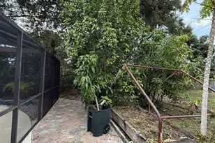 3507 Curtis Dr, Apopka, FL 32703 - Photo 14