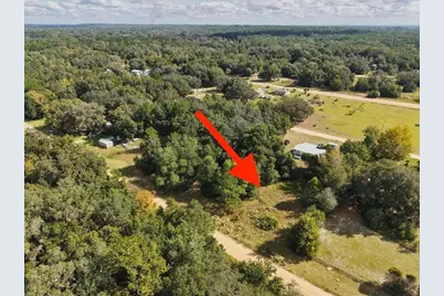 206 N Helmers Avenue, Interlachen, FL 32148 - Photo 14