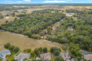 4415 Plymouth Sorrento Rd, Apopka, FL 32712 - Photo 24