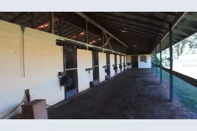 9400 NW 160th Street, Reddick, FL 32686 - Photo 8