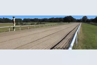 9400 NW 160th Street, Reddick, FL 32686 - Photo 4