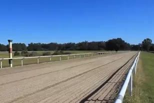 9400 NW 160th St, Reddick, FL 32686 - Photo 4