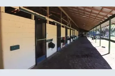 9400 NW 160th Street, Reddick, FL 32686 - Photo 12