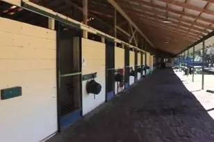 9400 NW 160th St, Reddick, FL 32686 - Photo 12