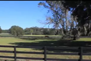 9400 NW 160th St, Reddick, FL 32686 - Photo 6