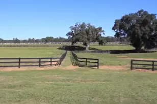 9400 NW 160th St, Reddick, FL 32686 - Photo 14