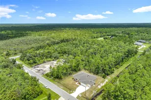 19041 Mardi Gras St, Orlando, FL 32833 - Photo 62