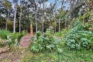 839 Lake Evalyn Dr, Celebration, FL 34747 - Photo 20
