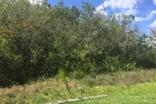 2219 San Vittorino Cir, Kissimmee, FL 34741 - Photo 18