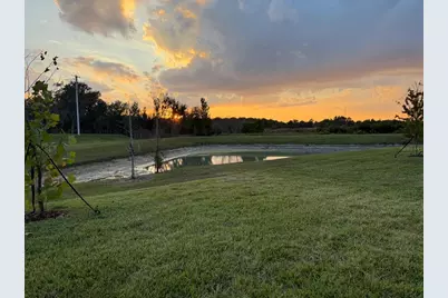 31740 Griffin Sands Lane, San Antonio, FL 33576 - Photo 34