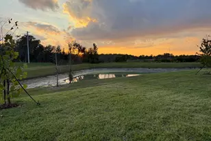 31740 Griffin Sands Ln, San Antonio, FL 33576 - Photo 34