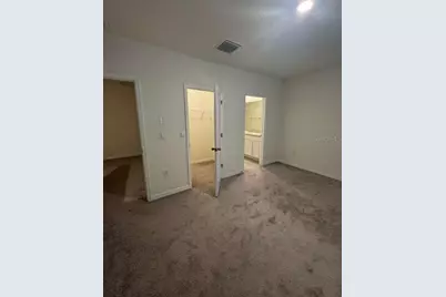 32467 Turtle Grace Loop, Wesley Chapel, FL 33545 - Photo 12