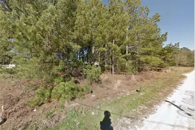Se 63rd Place, Morriston, FL 32668 - Photo 2