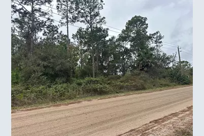 Settlers Loop, Geneva, FL 32732 - Photo 1