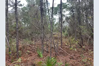 Settlers Loop, Geneva, FL 32732 - Photo 10