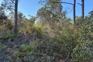 321 Showboat Ave, Lake Placid, FL 33852 - Photo 4