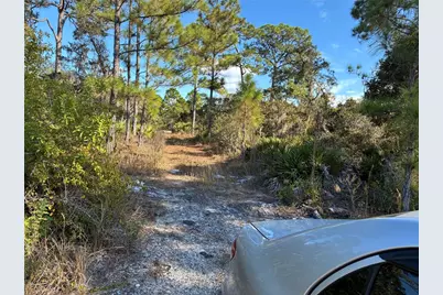 321 Showboat Avenue, Lake Placid, FL 33852 - Photo 2