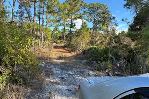 321 Showboat Ave, Lake Placid, FL 33852 - Photo 2