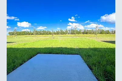 335 Loch Court, Davenport, FL 33837 - Photo 24