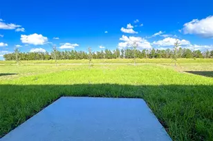 335 Loch Ct, Davenport, FL 33837 - Photo 24