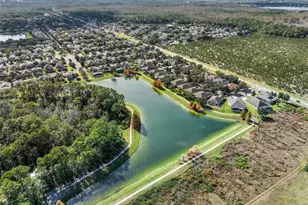 7167 Beek St, Windermere, FL 34786 - Photo 62