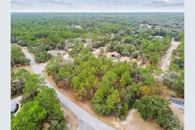 3435 W Danny Court, Beverly Hills, FL 34465 - Photo 8