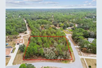 3435 W Danny Court, Beverly Hills, FL 34465 - Photo 2