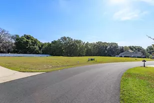 1005 Myrtle Breezes Ct, Fruitland Park, FL 34731 - Photo 1