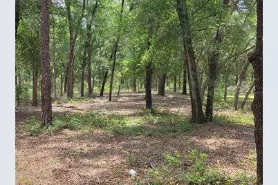 37600 Rolling Acres Road, Lady Lake, FL 32159 - Photo 60