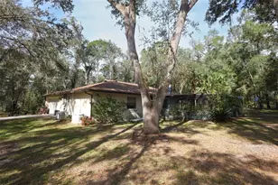 37600 Rolling Acres Rd, Lady Lake, FL 32159 - Photo 6