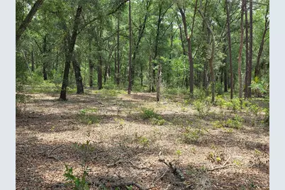 37600 Rolling Acres Road, Lady Lake, FL 32159 - Photo 38