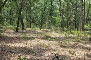 37600 Rolling Acres Rd, Lady Lake, FL 32159 - Photo 38